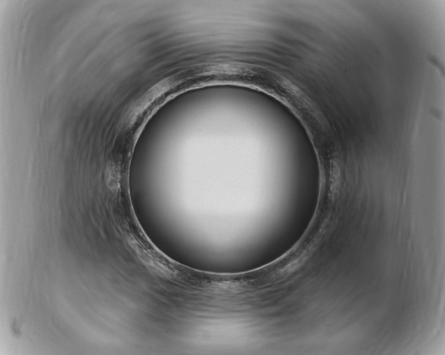 X0000103281017200808291307