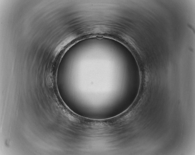 X0000103281018200808291307