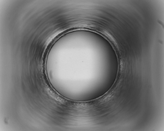 X0000103281020200808291307