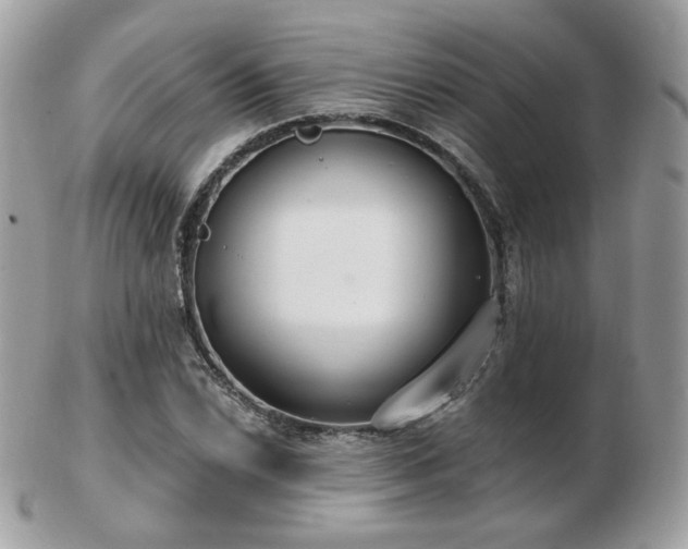 X0000103281022200808291307