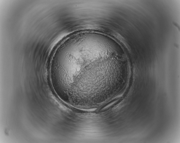 X0000103281024200808291307