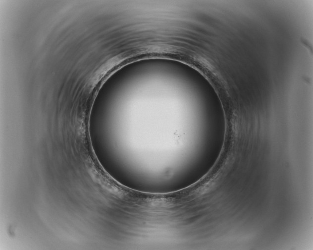 X0000103281025200808291307