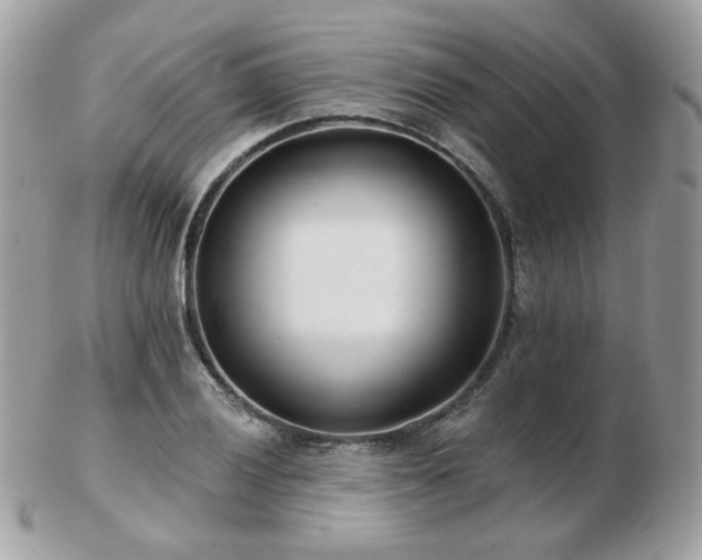 X0000103281028200808291307