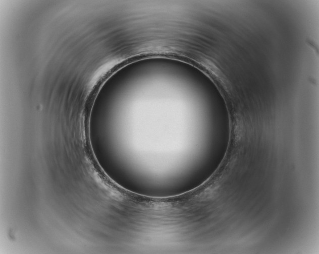 X0000103281030200808291307