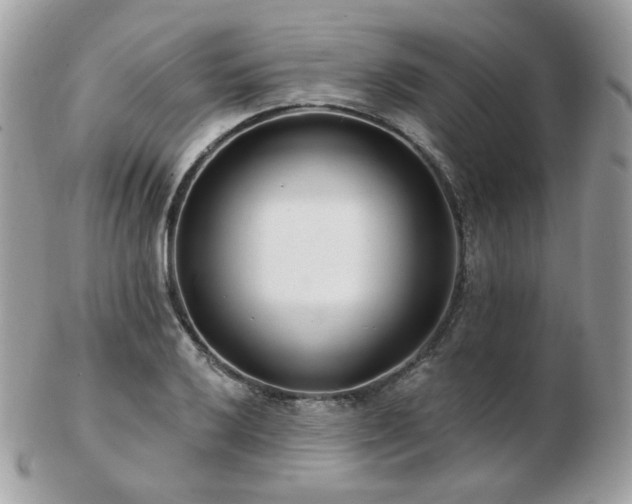 X0000103281032200808291307