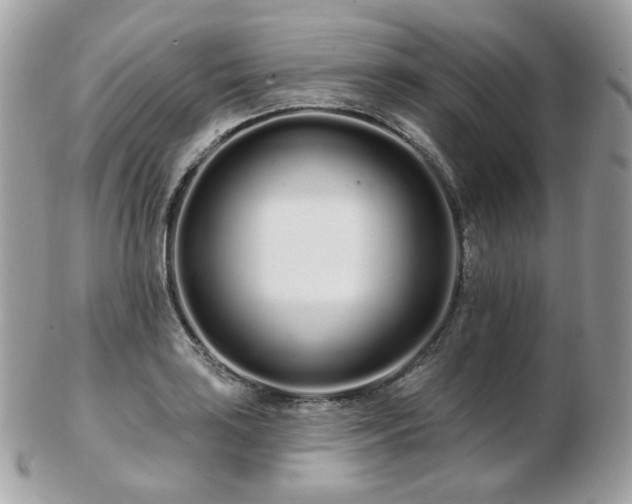 X0000103281035200808291307