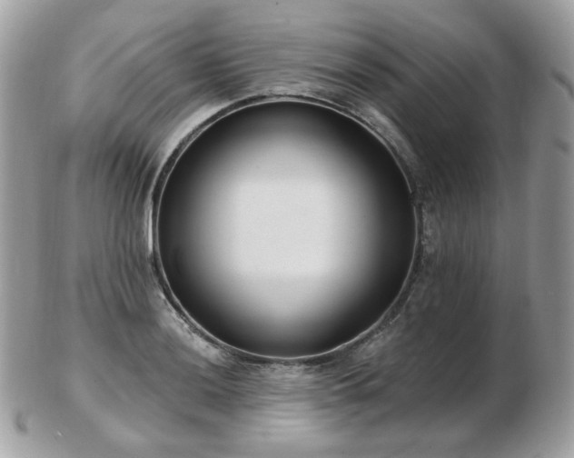 X0000103281036200808291307