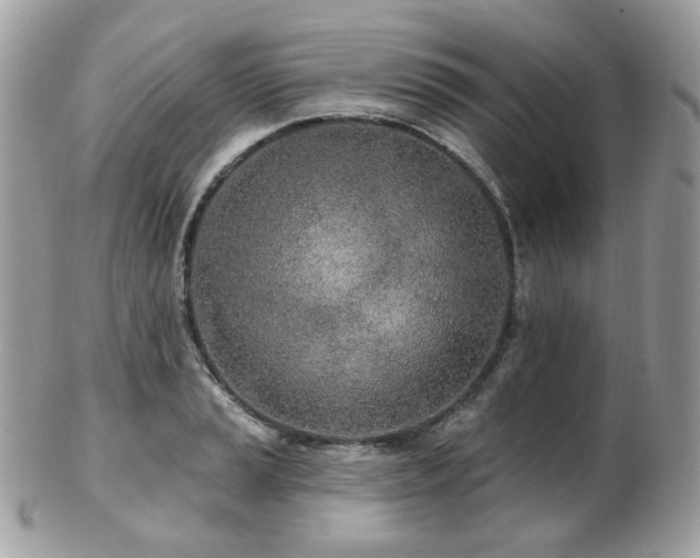 X0000103281037200808291307