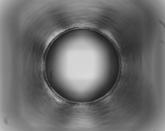 X0000103281040200808291307