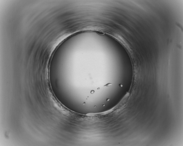 X0000103281044200808291307