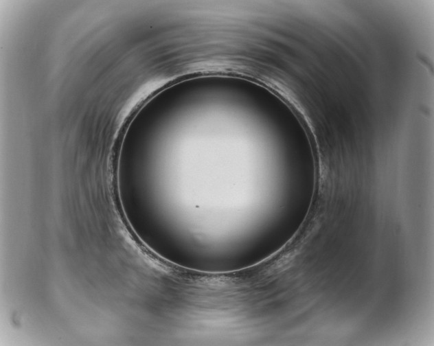 X0000103281045200808291307