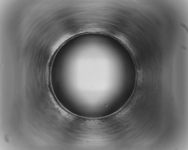 X0000103281046200808291307