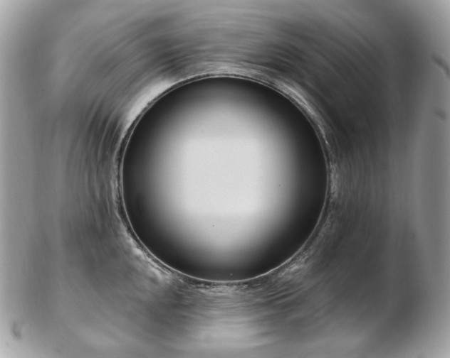 X0000103281048200808291307