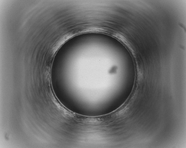 X0000103281049200808291307