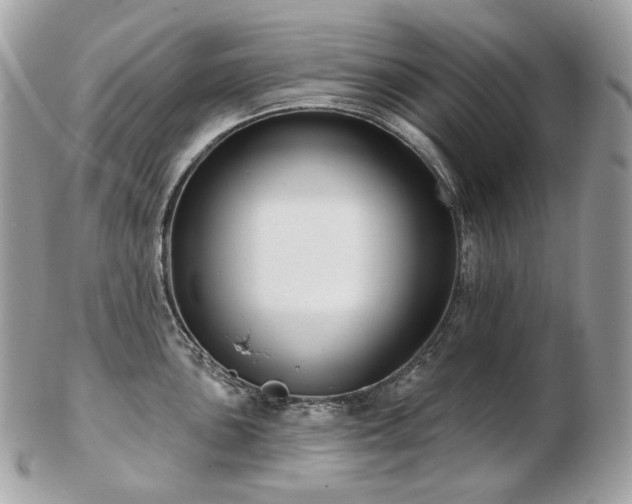 X0000103281051200808291307