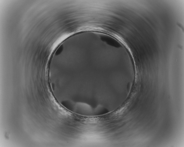 X0000103281053200808291307