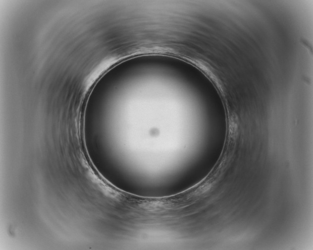 X0000103281054200808291307