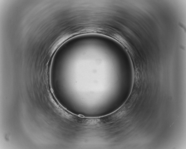 X0000103281055200808291307