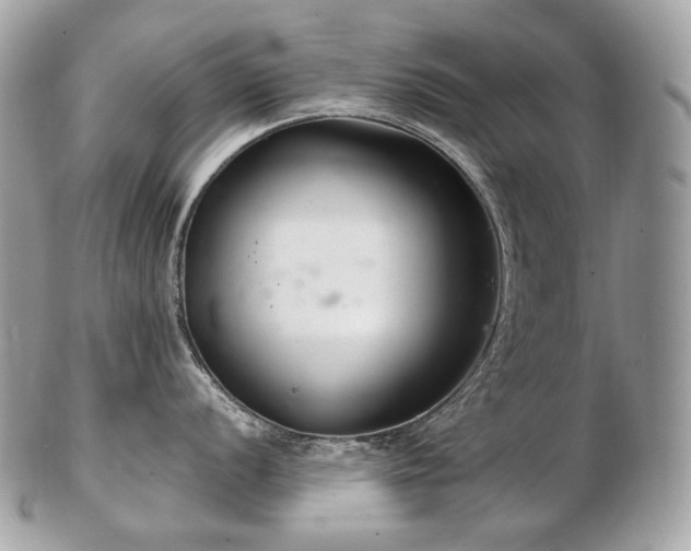 X0000103281056200808291307