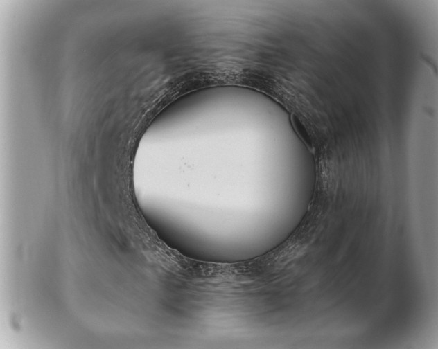 X0000103281057200808291306