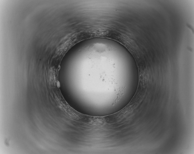 X0000103281058200808291306