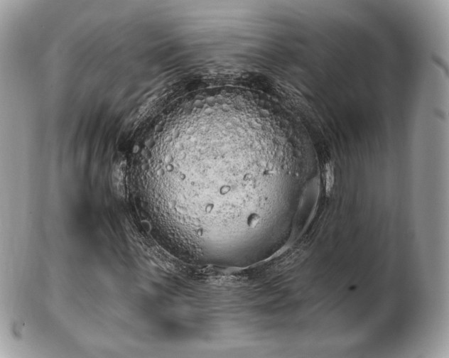 X0000103281059200808291306