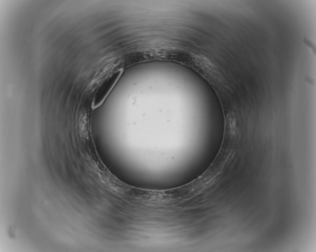 X0000103281060200808291306