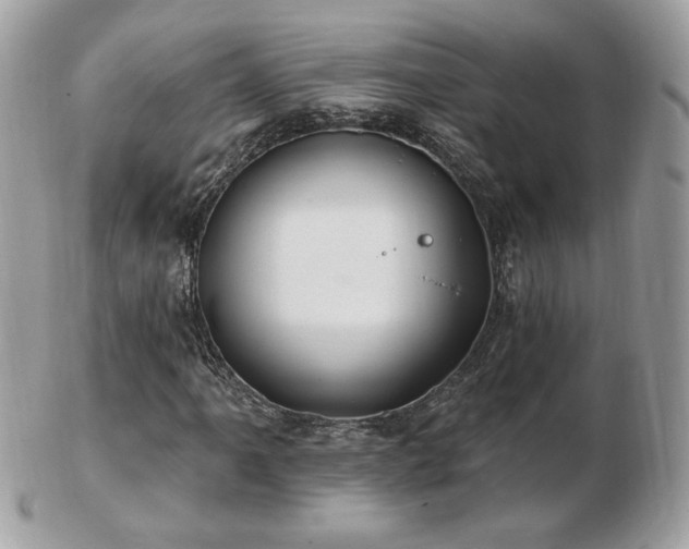 X0000103281061200808291306