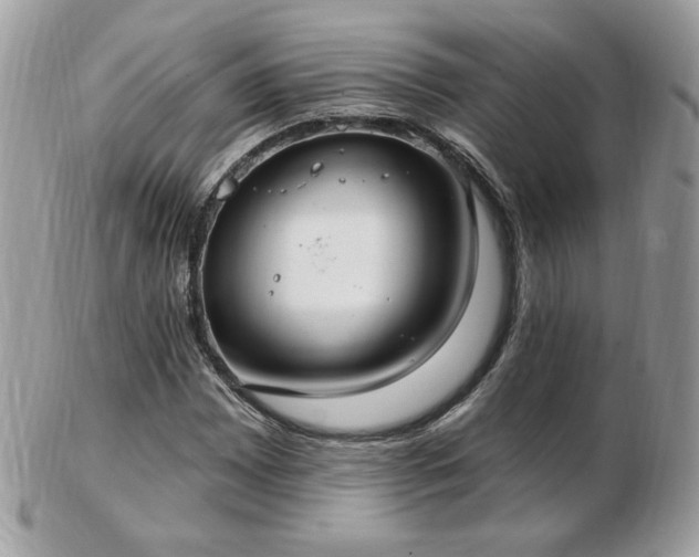 X0000103281065200808291306