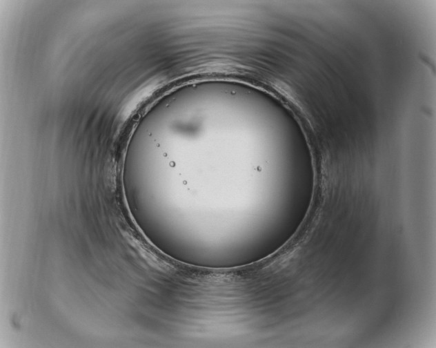 X0000103281067200808291306