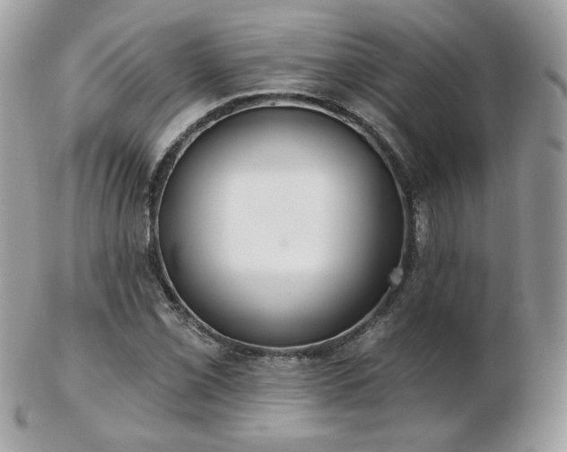 X0000103281069200808291306