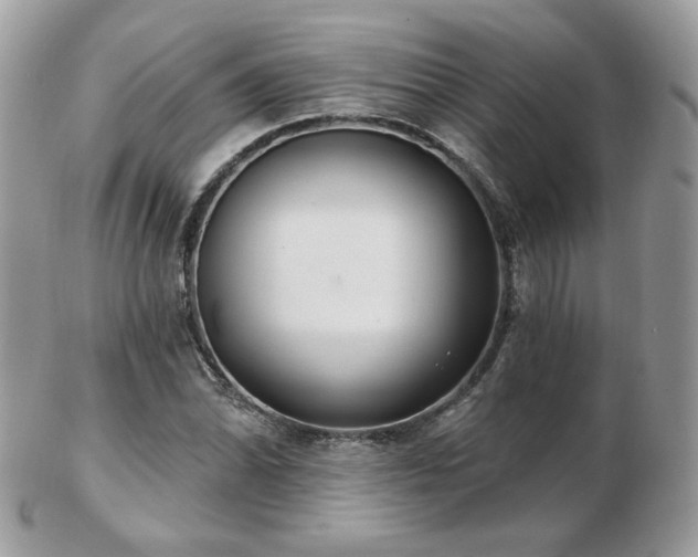 X0000103281070200808291306