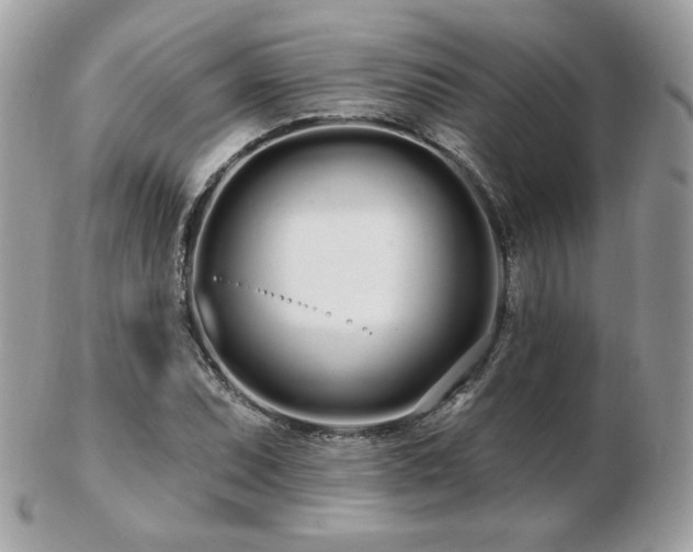 X0000103281071200808291306