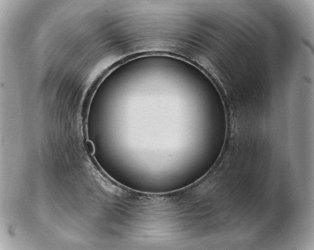 X0000103281072200808291306