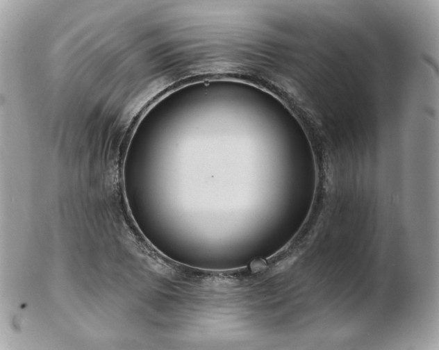 X0000103281073200808291306