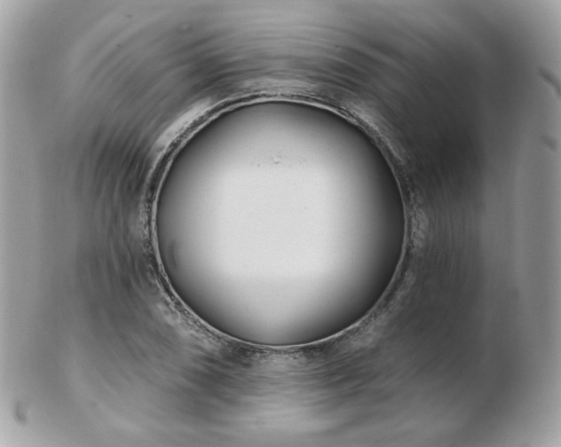 X0000103281074200808291306