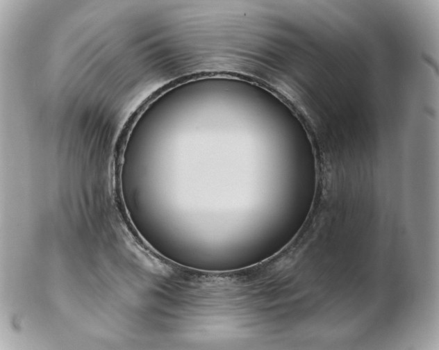 X0000103281076200808291306