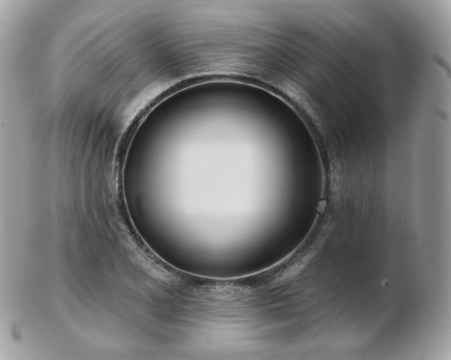 X0000103281077200808291306