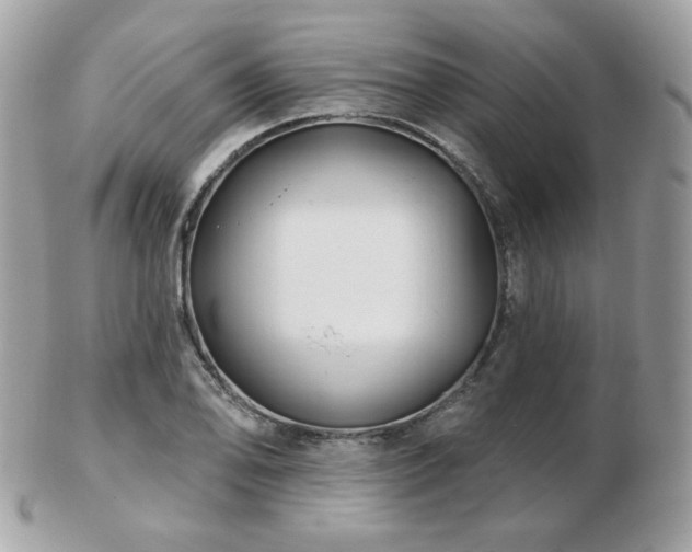 X0000103281078200808291306