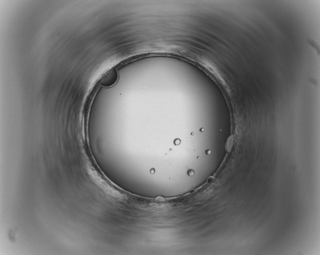 X0000103281080200808291306