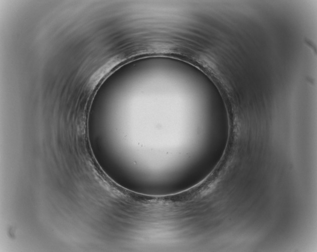 X0000103281081200808291306