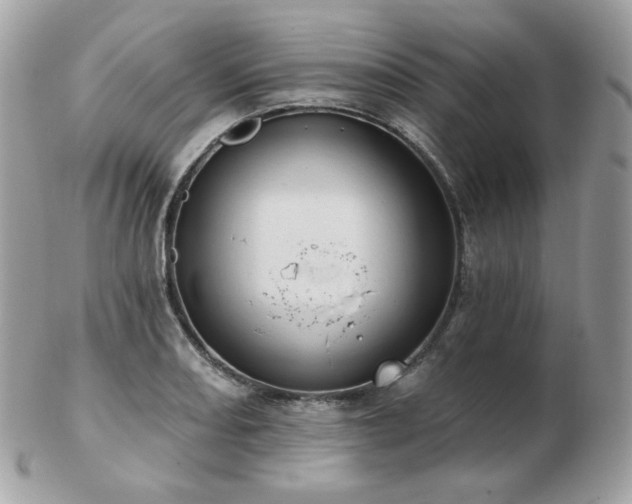 X0000103281082200808291306