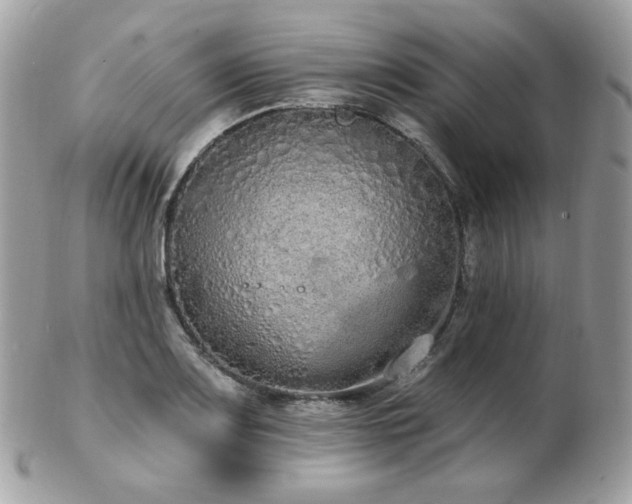 X0000103281083200808291306