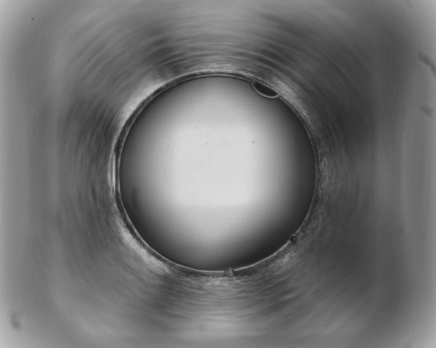 X0000103281084200808291306