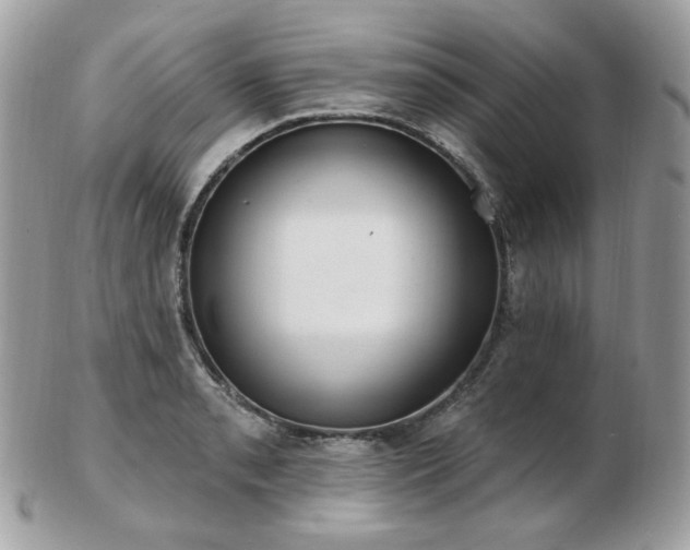 X0000103281085200808291306