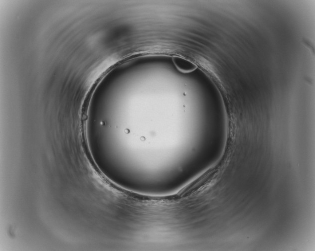 X0000103281087200808291306