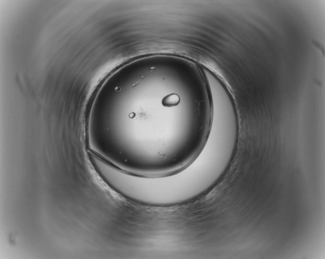 X0000103281088200808291306