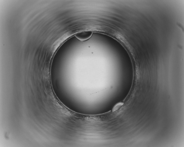 X0000103281089200808291306