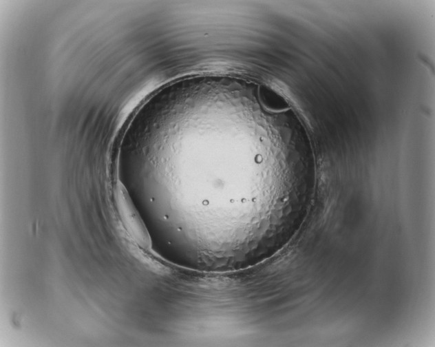 X0000103281091200808291306