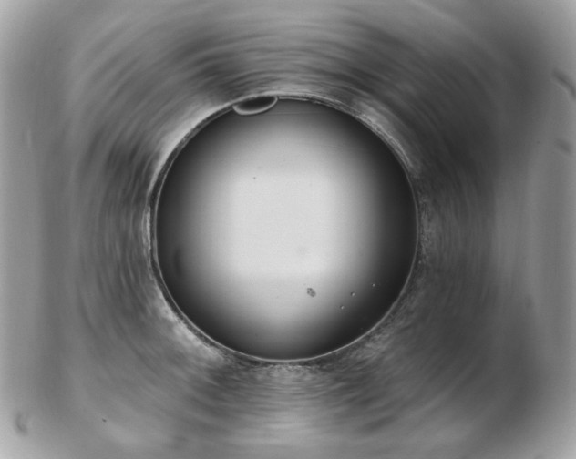 X0000103281092200808291306